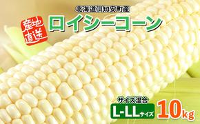 【 2025年 発送 】 先行予約  北海道産 とうもろこし ロイシーコーン 計18～20本 10kg前後 L-LL 旬 白い スイート コーン トウモロコシ お取り寄せ 産地直送 野菜 とうきび