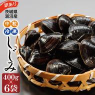 訳あり 涸沼産 中粒 冷凍 シジミ 2.4kg （400ｇ×6袋） しじみ 蜆 大和しじみ ヤマトシジミ 大玉 砂抜き済 冷凍 味噌汁 スープ 魚貝類 貝 オルニチン コハク酸 小分け わけあり 訳アリ