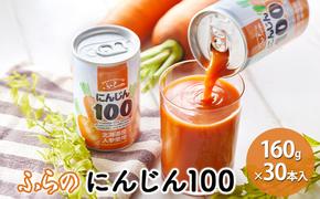 ふらの にんじん100 160g×30本入  (ジュース 野菜ジュース 飲み物 缶 北海道 送料無料 道産 富良野市 ふらの)