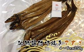 宇野沖産 地物 味付け 焼き アナゴ  4～6匹 約250g（ タレ 付き） 玉野魚市場 穴子 海鮮 新鮮 冷凍 真空パック 茹でる