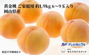 桃 2025年 先行予約 岡山 黄金桃 ご家庭用 約1.9kg 6～9玉入り もも モモ 岡山県産 国産 フルーツ 果物 直送！せとうちバスケット