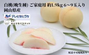 桃 2025年 先行予約 岡山 白桃（晩生種）ご家庭用 約1.9kg 6～9玉入り もも モモ 岡山県産 国産 フルーツ 果物 直送！せとうちバスケット