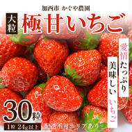 【令和7年産】 かぐや農園の極甘 いちご 大粒 30粒 果物 フルーツ 果実 高設栽培方式 紅ほっぺ かおり野 ロマンベリー お楽しみ 