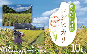 令和5年産 関ケ原町中挾地区限定米 コシヒカリ 精米 10kg 白米