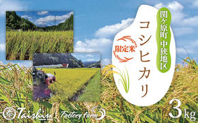 令和6年度 関ケ原町中挾地区限定米 コシヒカリ 精米 3kg 白米