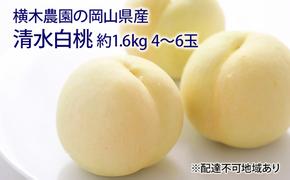 桃 2025年 先行予約 清水 白桃 約1.6kg 4～6玉 もも モモ 岡山県産 国産 フルーツ 果物 ギフト 横木農園