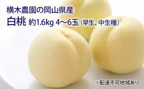 桃 2025年 先行予約 岡山の 白桃（早生、中生種）約1.6kg 4～6玉 もも モモ 岡山県産 国産 フルーツ 果物 ギフト 横木農園 スイーツ 