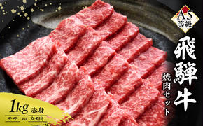 牛肉 飛騨牛 焼き肉 セット 赤身 モモ 又は カタ 1kg 黒毛和牛 Ａ5 美味しい お肉 牛 肉 和牛 焼肉 BBQ バーベキュー 【岐阜県瑞穂市】