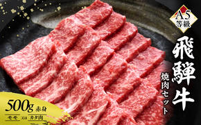 牛肉 飛騨牛 焼き肉 セット 赤身 モモ 又は カタ 500g 黒毛和牛 Ａ5 美味しい お肉 牛 肉 和牛 焼肉 BBQ バーベキュー 【岐阜県瑞穂市】