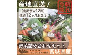 【定期便全12回】連続12ヶ月お届け！岩沼みんなの家の「みんなの直売！野菜」セット詰め合わせ