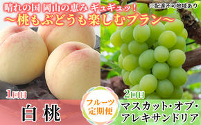 【2025年先行予約】 桃 ぶどう 晴れの国 岡山の恵みギュギュッ！ ～桃もぶどうも楽しむプラン～ ( 白桃 ・ アレキサンドリア ）《2025年6月下旬-7月下旬頃出荷》 もも モモ 葡萄 ブドウ 里庄町 数量限定