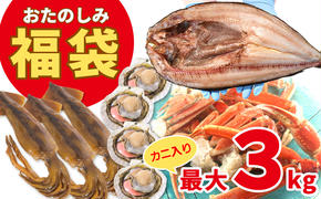 北海道の海鮮＜おたのしみ福袋＞ 訳あり ズワイガニ入り 冷凍 5種 最大2.5～3kg 魚 魚介 訳あり 蟹 カニ かに