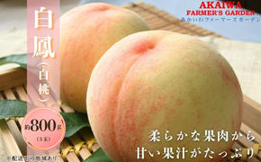 桃 2025年 先行予約 白桃 白鳳 約800g 3玉 もも 岡山県 赤磐市産 フルーツ 果物 あかいわファーマーズガーデン