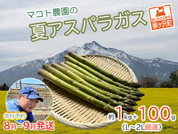 アスパラガス 先行予約 夏アスパラガス 約1kg+100g L～2L 厳選 マコト農園 アスパラ グリーンアスパラ 野菜 夏 旬 旬の野菜 産地直送 2025年 2025 先行 予約 青森 冷蔵 冷蔵配送 8月～9月発送