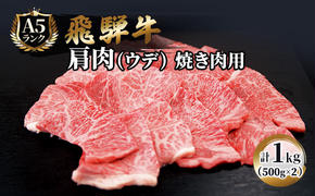 ふるさと納税　飛騨牛 牛肉 焼肉 肩肉 (ウデ)  500g×2 計1kg A5 和牛