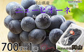 ぶどう 2025年 先行予約 ニュー ピオーネ 約700g×1房 8月下旬～10月上旬発送 ブドウ 葡萄  岡山県産 国産 フルーツ 果物 ギフト 岡山の葡萄 デザート 食後 