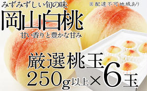 桃 2025年 先行予約 岡山の白桃 250g以上×6玉 白桃 旬 みずみずしい 晴れの国 おかやま 岡山県産 フルーツ王国 果物王国