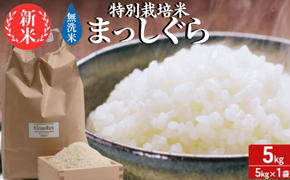 新米 令和6年産 まっしぐら 無洗米 5kg 1袋 米 白米 こめ お米 おこめ コメ ご飯 ごはん 令和6年 特別栽培米 H.GREENWORK 青森 青森県