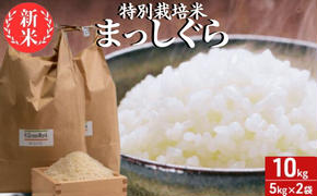 新米 令和6年産 まっしぐら 白米 10kg (5kg×2袋) 米 精米 こめ お米 おこめ コメ ご飯 ごはん 令和6年 特別栽培米 H.GREENWORK 青森 青森県