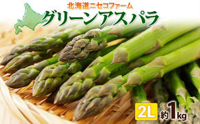 【 2025年 先行予約 】 北海道産 グリーン アスパラガス 約1kg 2L アスパラガス アスパラ 旬 朝採り 野菜 新鮮 野菜 お取り寄せ 産地直送 産直 野菜 農作物 詰め合わせ アスパラ 国産 野菜 しりべしや 