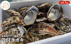 【国内消費拡大求む】 北海道 サロマ湖産 カキ 約4.7kg 牡蠣 かき 海鮮 魚介 国産 殻付き 貝付き 生牡蠣 生食 焼き牡蠣 蒸し冷蔵 産地直送 オホーツク