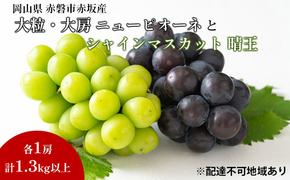 ぶどう 2025年 先行予約 シャイン マスカット 晴王 1房 ニューピオーネ  大粒 大房 1房  合計1.3kg以上 ブドウ 葡萄 岡山県 赤磐市産 国産 フルーツ 果物 ギフト 赤坂青空市