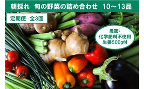 『定期便全3回』栽培期間中に農薬不使用の生姜200gと旬の野菜詰め合わせ10～13品目 旬の野菜 定期 生姜 野菜 健康 詰め合わせ セット 採れたて おいしい 美味しい 自然 新鮮 故郷納税 ふるさとのうぜい 返礼品 高知県 高知