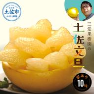 【訳あり】三愛果樹園の土佐文旦10kg　ワケあり 訳アリ ぶんたん ブンタン 果物 柑橘 フルーツ 故郷納税 ふるさとのうぜい 返礼品 高知県 高知