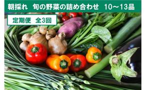 『定期便』全3回【土佐野菜】旬の野菜詰め合わせ10～13品目 旬の野菜 定期 生姜 野菜 健康 詰め合わせ セット 採れたて おいしい 美味しい 自然 新鮮 故郷納税 ふるさとのうぜい 返礼品 高知県 高知