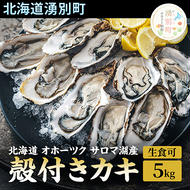 【国内消費拡大求む】 北海道 オホーツク サロマ湖産 殻付き カキ 生食可 5kg 牡蠣職人厳選 牡蠣 国産 貝付き