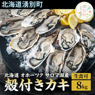 先行予約 【国内消費拡大求む】 北海道 オホーツク サロマ湖産 殻付き カキ 生食可 8kg 牡蠣職人厳選 牡蠣 国産 貝付き