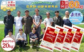 【令和6年度産】◆3ヵ月定期便◆ 富良野 山部米研究会【 ゆめぴりか 】無洗米  5kg×4袋（20kg）お米 米 ご飯 ごはん 白米 定期 送料無料 北海道 富良野市 道産 直送 ふらの