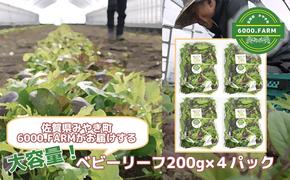 FV002_大容量ベビーリーフ200ｇ×４セット 有機JAS認証取得 野菜　産地直送　旬野菜　新鮮野菜　国産　冷蔵発送