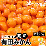 ＼光センサー選別／こだわりの有田みかん 約10kg 有機質肥料100%
※2024年11月中旬頃～2025年1月頃に順次発送予定
※沖縄・離島への配送不可 ふるさと納税 ミカン