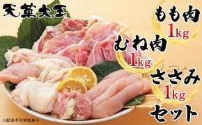 鶏肉 もも 水炊き 鍋 やきとり 天草大王 3種 セット もも肉 むね肉 ささみ 各1kg 配送不可:離島