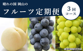 桃 ぶどう 定期便 2025年 先行予約 晴れの国 岡山 の フルーツ 定期便 3回コース もも モモ 葡萄 ブドウ 岡山県産 国産 セット ギフト