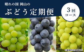 ぶどう 定期便 2025年 先行予約 晴れの国 岡山 の ぶどう定期便 3回コース 葡萄 ブドウ 岡山県産 国産 セット ギフト