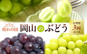 ぶどう 定期便 2025年 先行予約 晴れの国 岡山 の ぶどう定期便 3回コース 葡萄 ブドウ 岡山県産 国産 セット ギフト