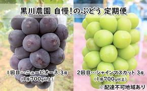 ぶどう 2025年 先行予約 定期便 2回 先行予約 黒川農園 自慢！の 大粒 大房 ニューピオーネ 3房 シャインマスカット 3房 （各1房700g以上） ブドウ 葡萄  岡山県産 国産 フルーツ 果物 ギフト