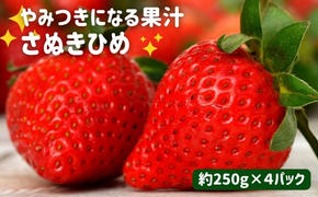 いちご やみつきになる果汁 さぬきひめ 苺 4パック 【2月以降発送開始】果物 フルーツ くだもの イチゴ さぬき姫 香川