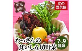 和らぎ農法　わっさんの食いしん坊野菜　栗東市産　旬の野菜便