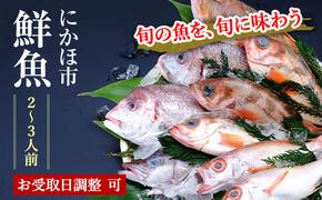 鮮魚 開けたらすぐ食べられる下処理済み 海産物 2～3人前 セット 日本海の鮮魚 魚 パック 詰め合わせ 海鮮セット 鮮魚ボックス 海鮮 海の幸 魚介 魚介類 刺身 切り身 ひらめ 鯛 甘エビ 鯵 あんこう 鮭 カレイ ハタハタ 鱈 ズワイガニ 食べ比べ 冷蔵