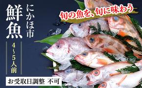 鮮魚 下処理済み 日本海の鮮魚 4～5人前(5～8種類) セット 魚 パック 詰め合わせ 海鮮セット 鮮魚ボックス 海鮮 海産物 海の幸 魚介 魚介類 刺身 切り身 ひらめ 鯛 甘エビ 鯵 あんこう 鮭 カレイ ハタハタ 鱈 ズワイガニ 冷蔵 発送メールのみ