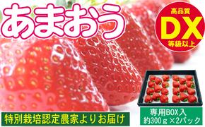 あまおう DX等級以上 約300g×2パック ※配送不可：北海道・東北・沖縄・離島