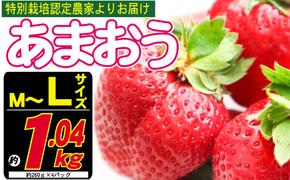 あまおう M～L 約1.04kg 約260g×4パック ※配送不可：北海道・東北・沖縄・離島