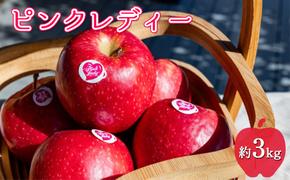 中松井農園 ピンクレディー約3kg 12～15玉 果物 フルーツ りんご 長野県産 信州 信州のリンゴ 酸味 小ぶり 芳醇 風味 クッキングアップル デザート 食後  爽やかな酸味 希少 