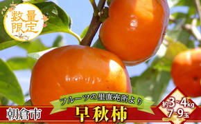 フルーツの里の直売所より 早秋柿 約3～4kg 果物類 かき