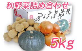 【2025年10月上旬より発送】北海道 富良野産 野菜 5kgセット じゃがいも＆玉ねぎ＆かぼちゃ 3種 詰め合わせ (中山農園) 野菜 新鮮 直送 いも 道産 ふらの 送料無料 数量限定 先着順 北海道 富良野市 ほくほく 秋