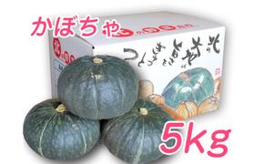 【2025年10月上旬より発送】北海道 富良野市産 かぼちゃ「ブラックのジョー」 5kg (中山農園) 野菜 新鮮 直送 いも 道産 ふらの 送料無料 数量限定 先着順 北海道 富良野市 ほくほく 秋