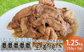 生姜焼き 1.25kg (250g×5袋) 長谷川の自然熟成豚 湯煎 湯せん おかず 惣菜 レトルト レトルト食品 簡単調理 豚 ぶた ブタ 豚肉 肉 お肉 キャンプ アウトドア キャンプ飯 青森 青森県